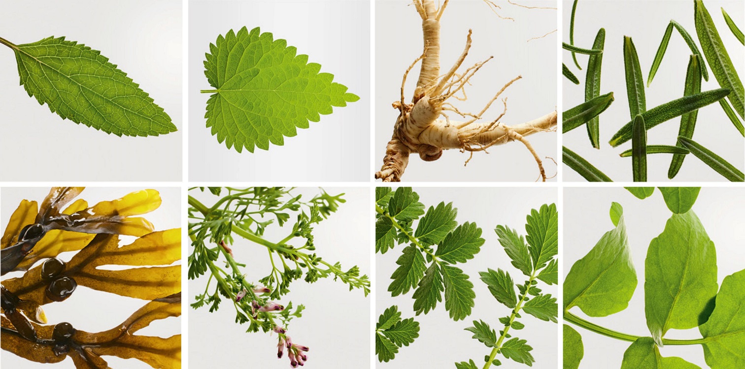 © DOCTOR BABOR Biogen Plant Extract
