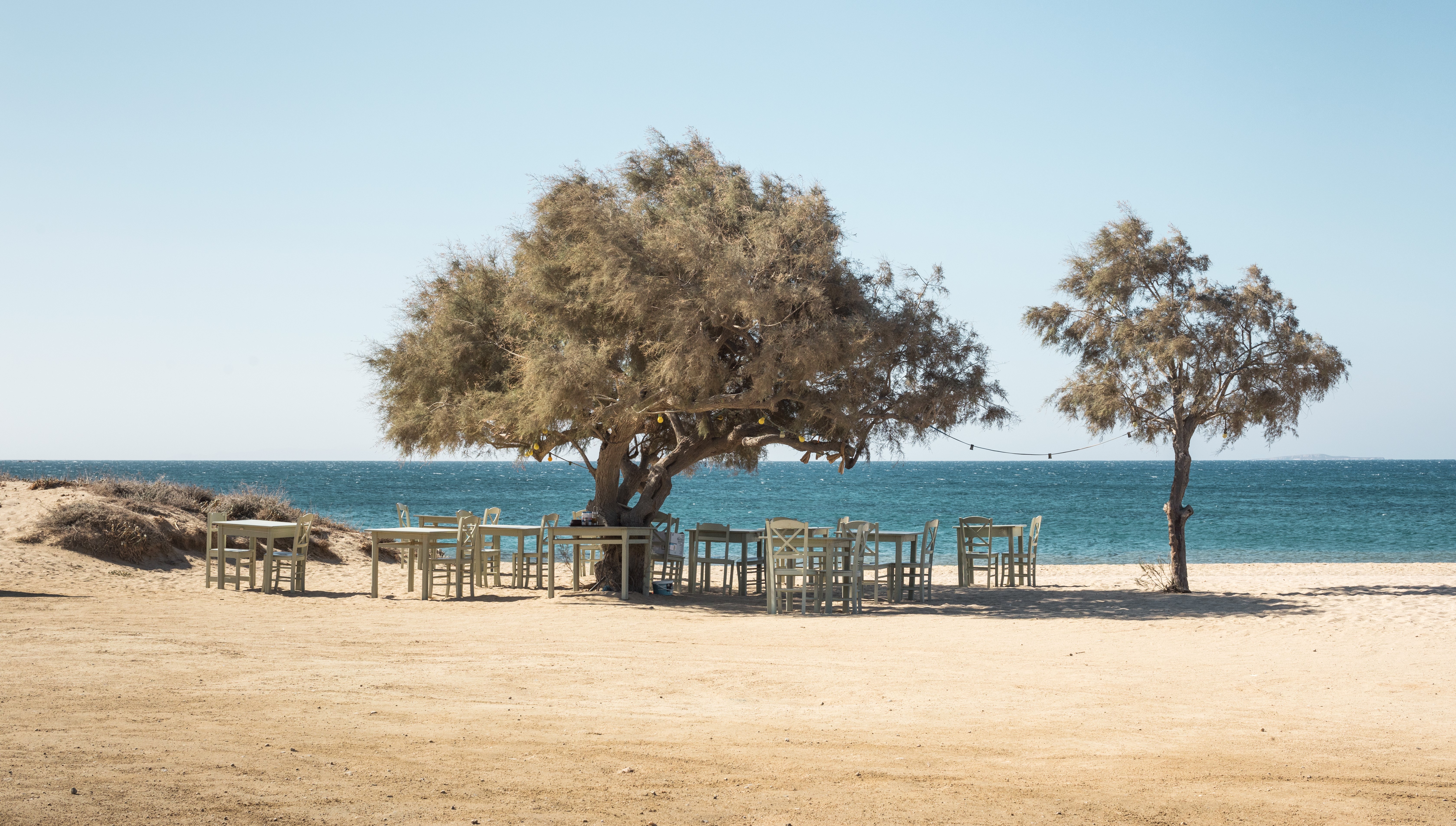 © THE NAXOS APOTHECARY
